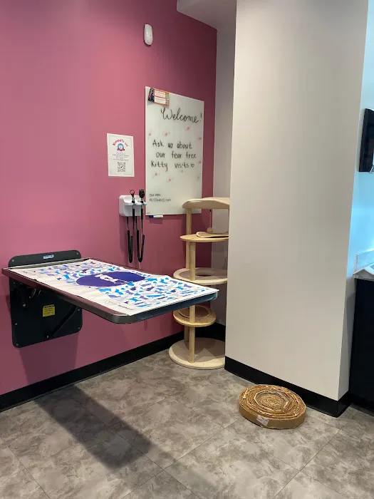 VCA Santa Monica Main Street Animal Hospital Picture 1