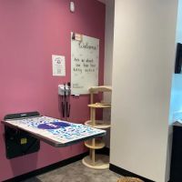 VCA Santa Monica Main Street Animal Hospital ico