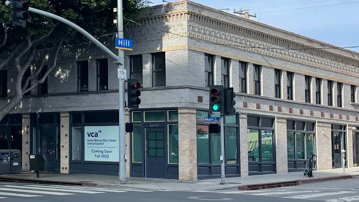 VCA Santa Monica Main Street Animal Hospital Picture 10