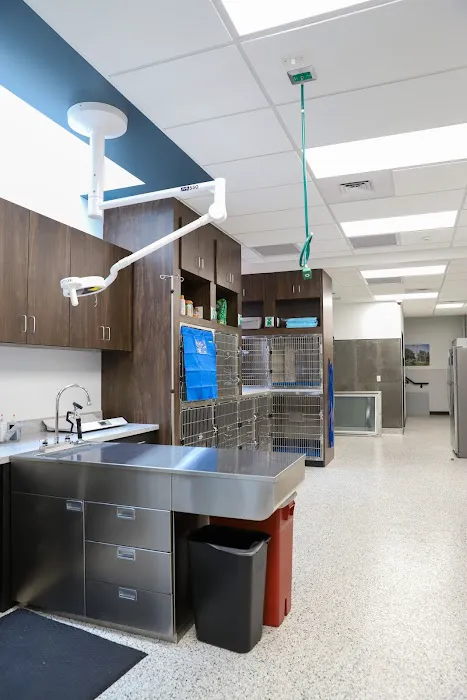VCA Santa Monica Main Street Animal Hospital Picture 7