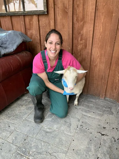 GreenTree Veterinary Service Picture 4