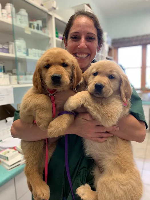 GreenTree Veterinary Service Picture 8