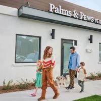 Palms & Paws Veterinary Center ico