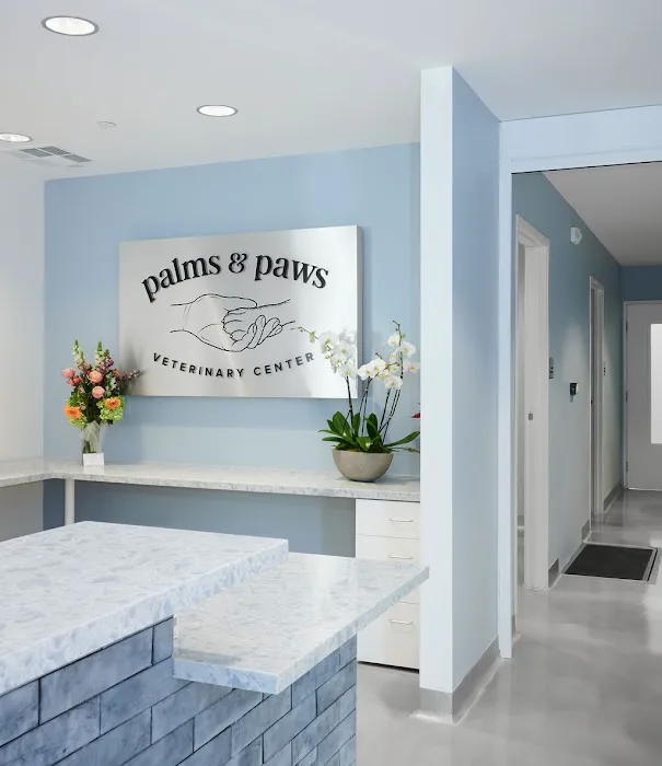 Palms & Paws Veterinary Center Picture 7