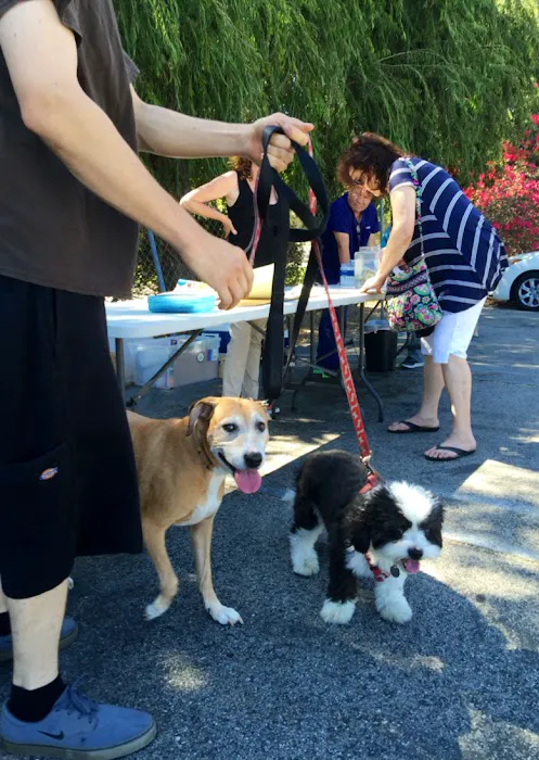 Low Cost Pet Vaccines Whitnall Off Leash Dog Park NORTH HOLLYWOOD/NO APPOINTMENT EVER NEEDED. Picture 10