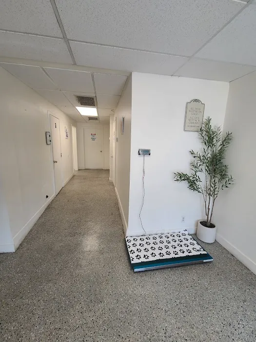 Affordable Animal Hospital NOHO Picture 3