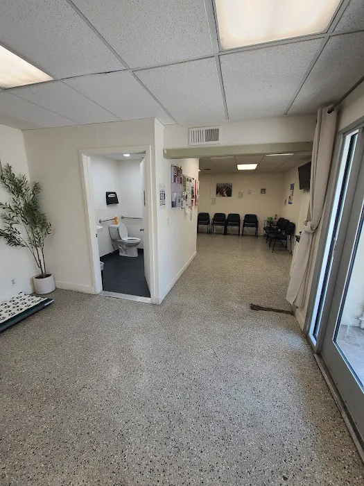 Affordable Animal Hospital NOHO Picture 1