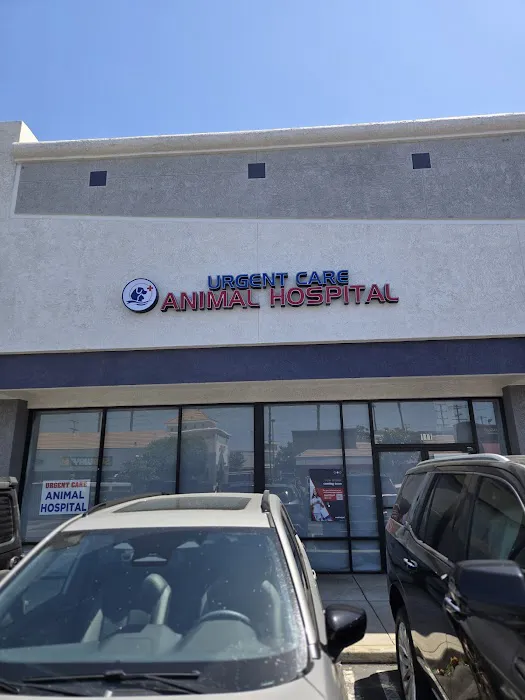 NOHO Urgent Care Animal Hospital Picture 1