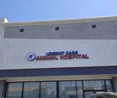 NOHO Urgent Care Animal Hospital