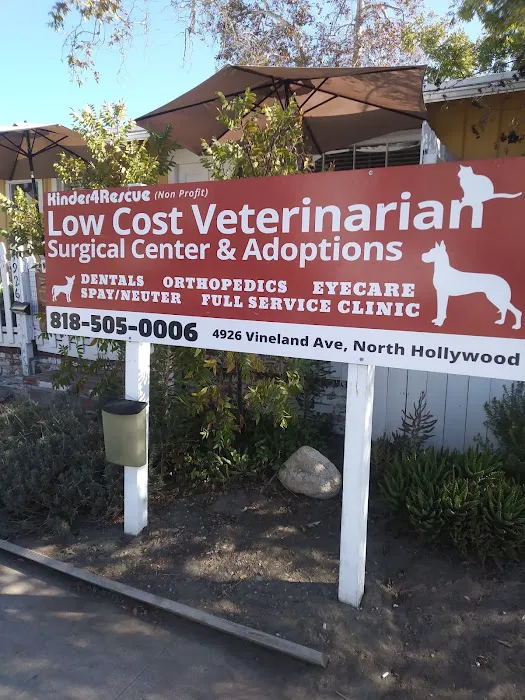 Kinder 4 Rescue Low Cost Pet Clinic Picture 8