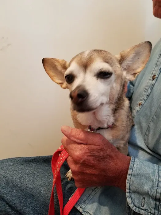 Berkley Pet Hospital Picture 2