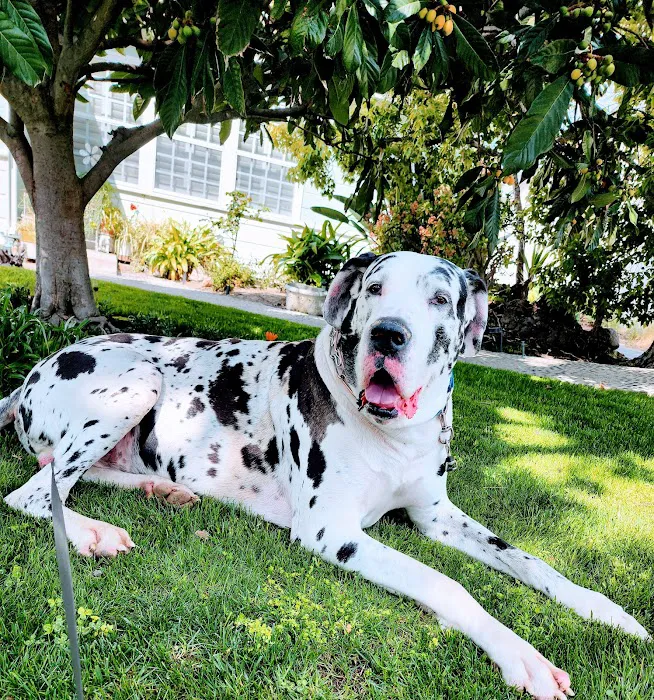 Berkley Pet Hospital Picture 6