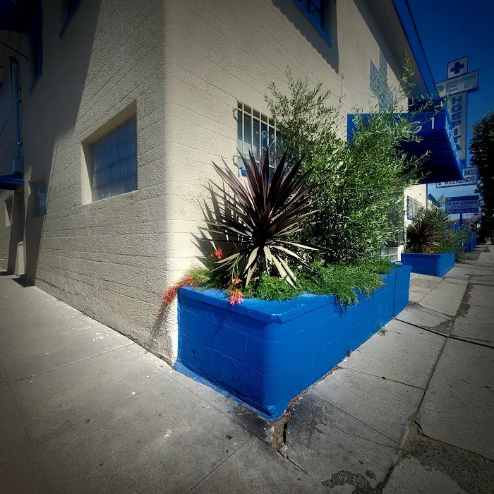 Blue Cross Pet Hospital Picture 4