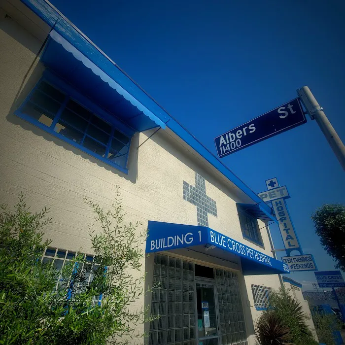 Blue Cross Pet Hospital Picture 1