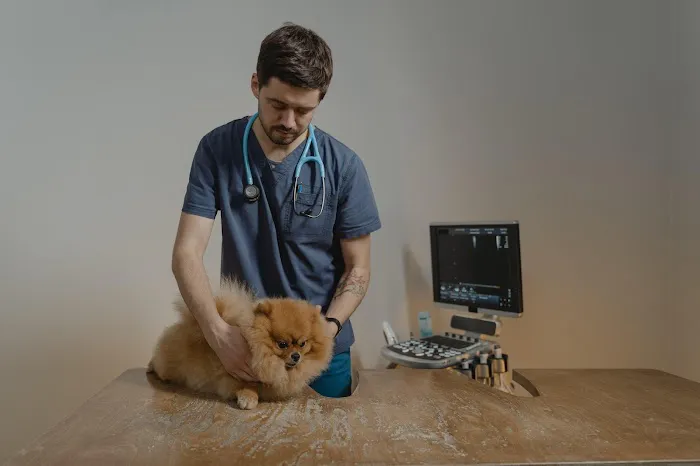 Blue Cross Pet Hospital Picture 6