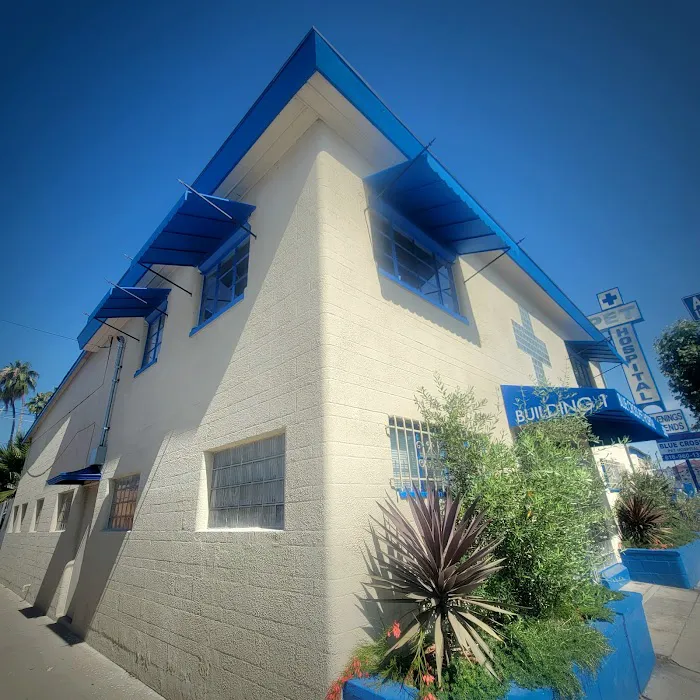 Blue Cross Pet Hospital Picture 3