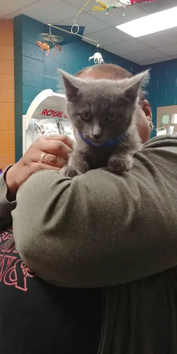Boulevard Pet Clinic Picture 2
