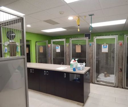 Veterinary Medical Center