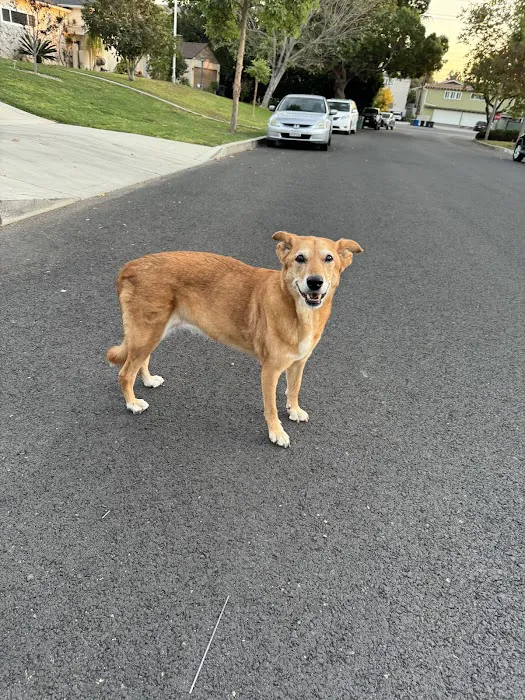 TrueCare for Pets Picture 8