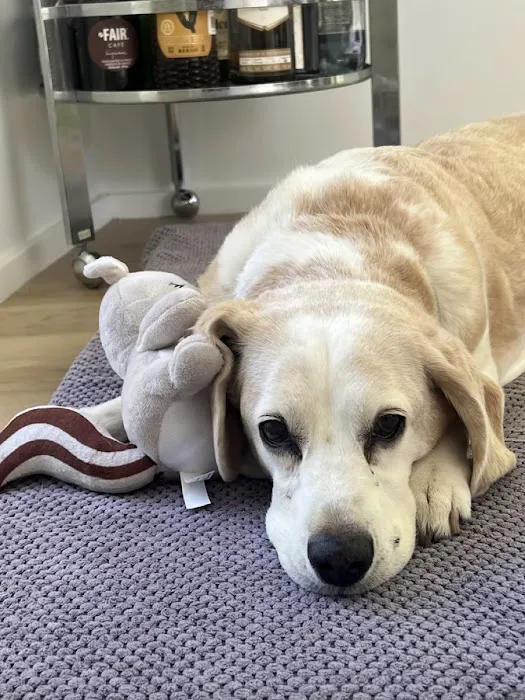 TrueCare for Pets Picture 6