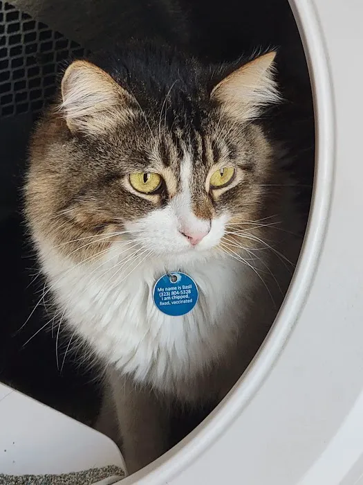 TrueCare for Pets Picture 5