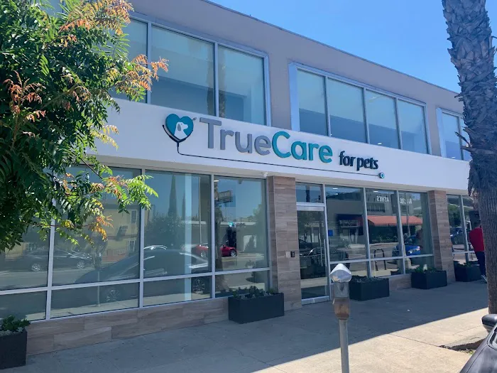 Dr. Emilie Chaplow, DVM Internal Medicine - TrueCare For Pets Picture 6