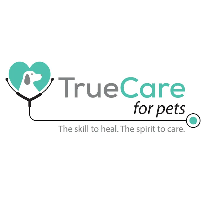 Dr. Lauren Quarterman, DVM, DACVR/Radiation Oncology - TrueCare for pets Picture 3