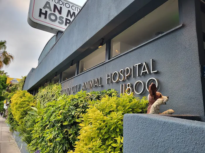 Studio City Animal Hospital Picture 3