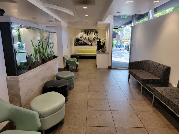 Studio City Animal Hospital Picture 9