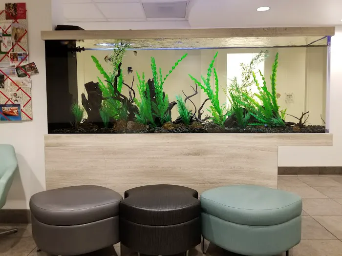 Studio City Animal Hospital Picture 4