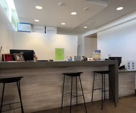 Studio City Animal Hospital