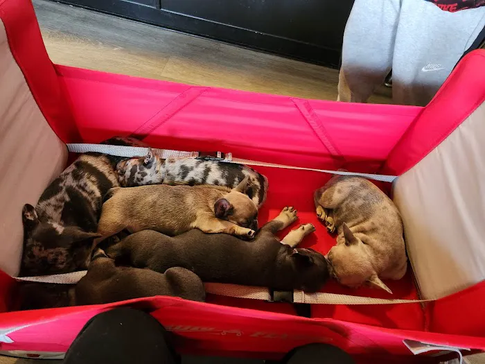 Colima Animal Hospital Picture 10