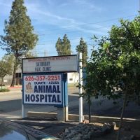 Duarte Azusa Animal Hospital ico