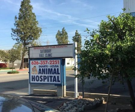Duarte Azusa Animal Hospital