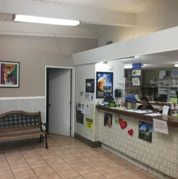 Duarte Azusa Animal Hospital Picture 8