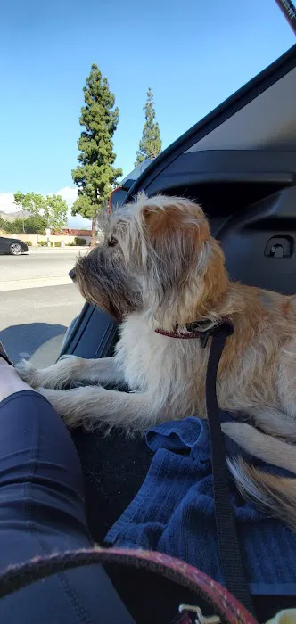Duarte Azusa Animal Hospital Picture 5