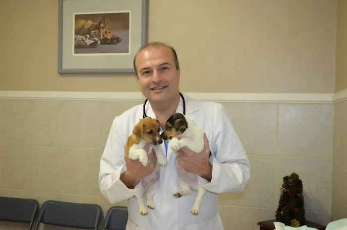 Duarte Azusa Animal Hospital Picture 7