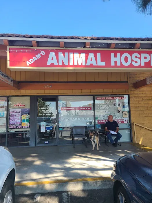 Adams Animal Hospital Picture 6