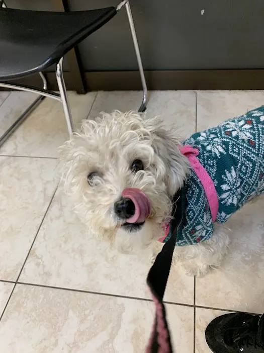 Azusa Animal Hospital Picture 8