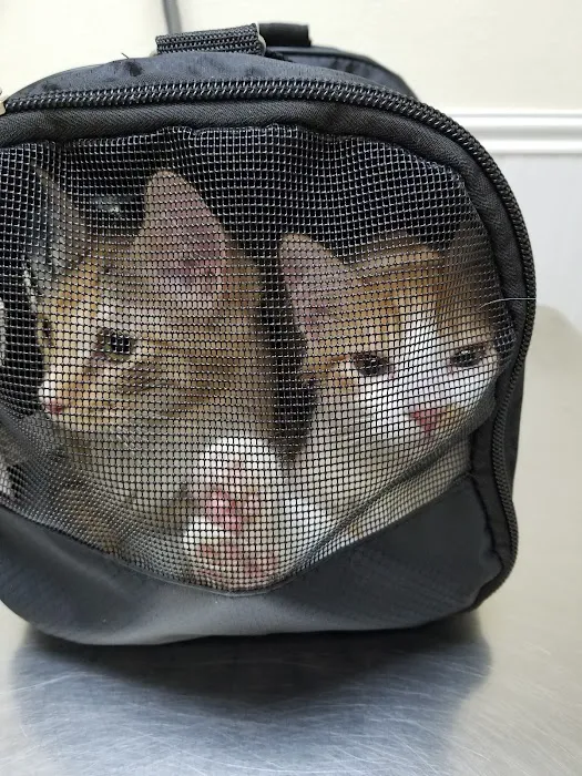 Azusa Animal Hospital Picture 7