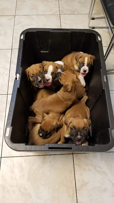 Azusa Animal Hospital Picture 5