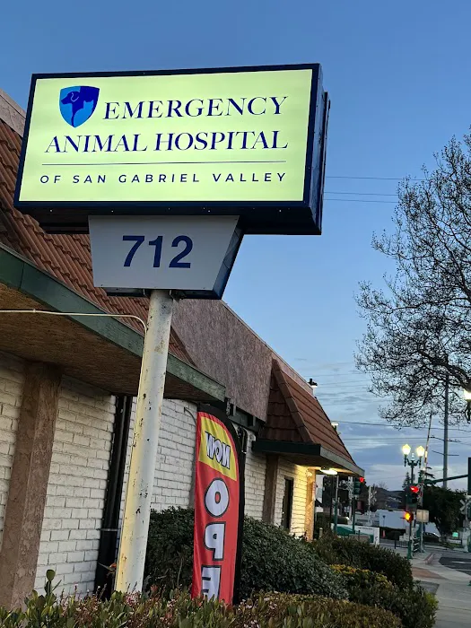 Emergency Animal Hospital of San Gabriel Valley Picture 9