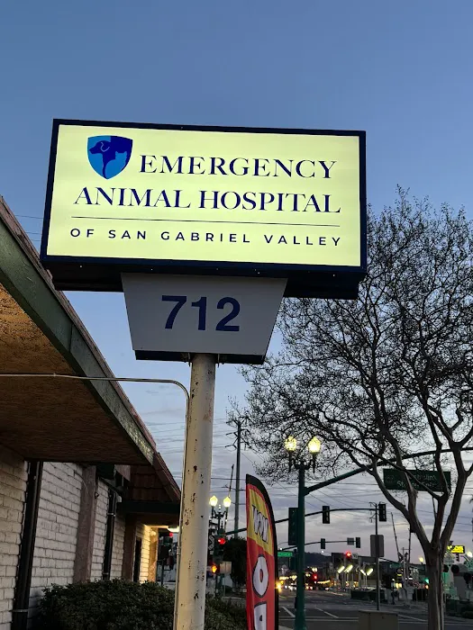 Emergency Animal Hospital of San Gabriel Valley Picture 4