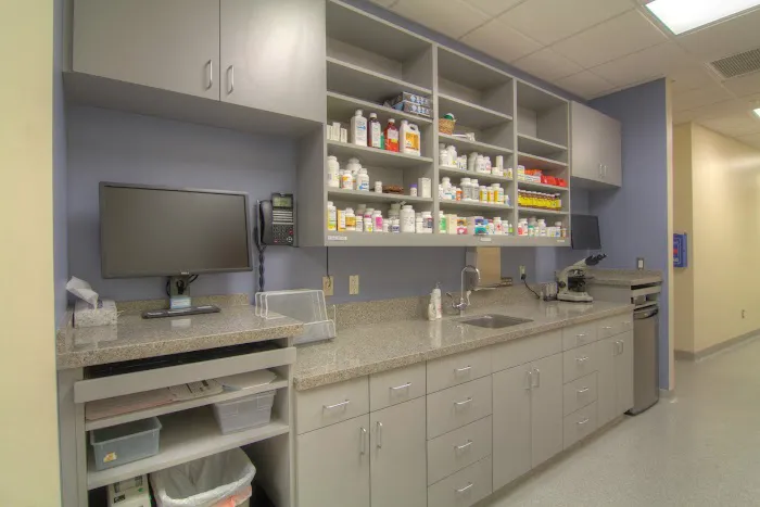 Covina Animal Hospital Picture 9