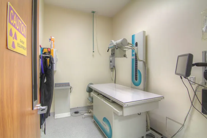 Covina Animal Hospital Picture 7