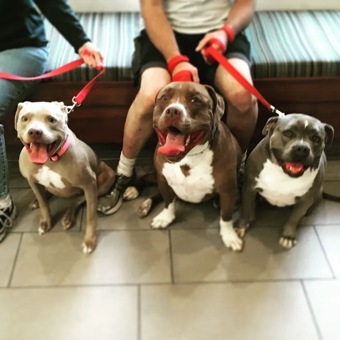 Covina Animal Hospital Picture 8