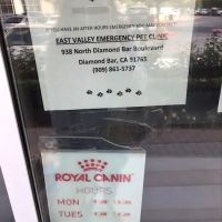 Country Club Animal Hospital ico