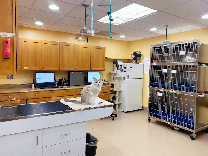 Country Club Animal Hospital Picture 6