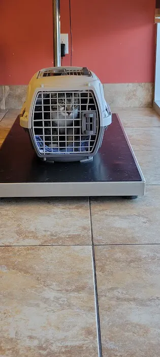 Country Club Animal Hospital Picture 5