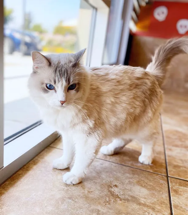 Country Club Animal Hospital Picture 9